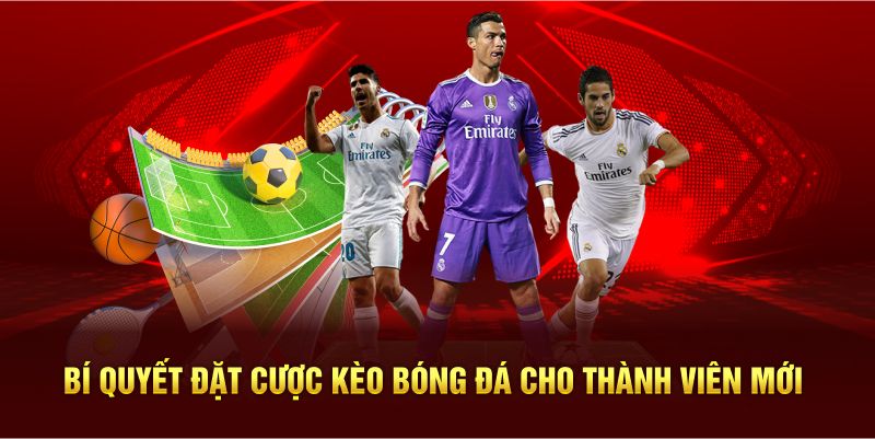 Bí quyết đặt cược kèo bóng đá cho thành viên mới